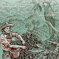 McCafe Ethically Sourced Coffee