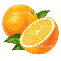Oranges